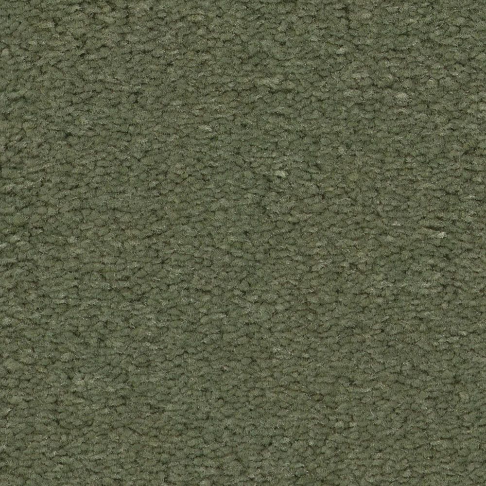 Anderson Tuftex Finery Carpet in Wilderness, , large