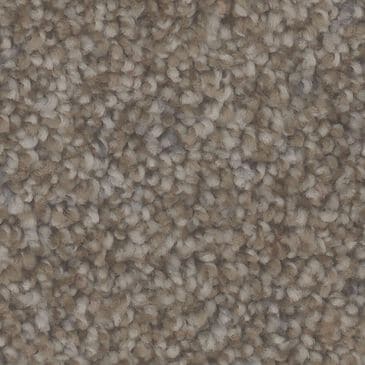 Phenix Dolce Carpet in Chocolate, , large