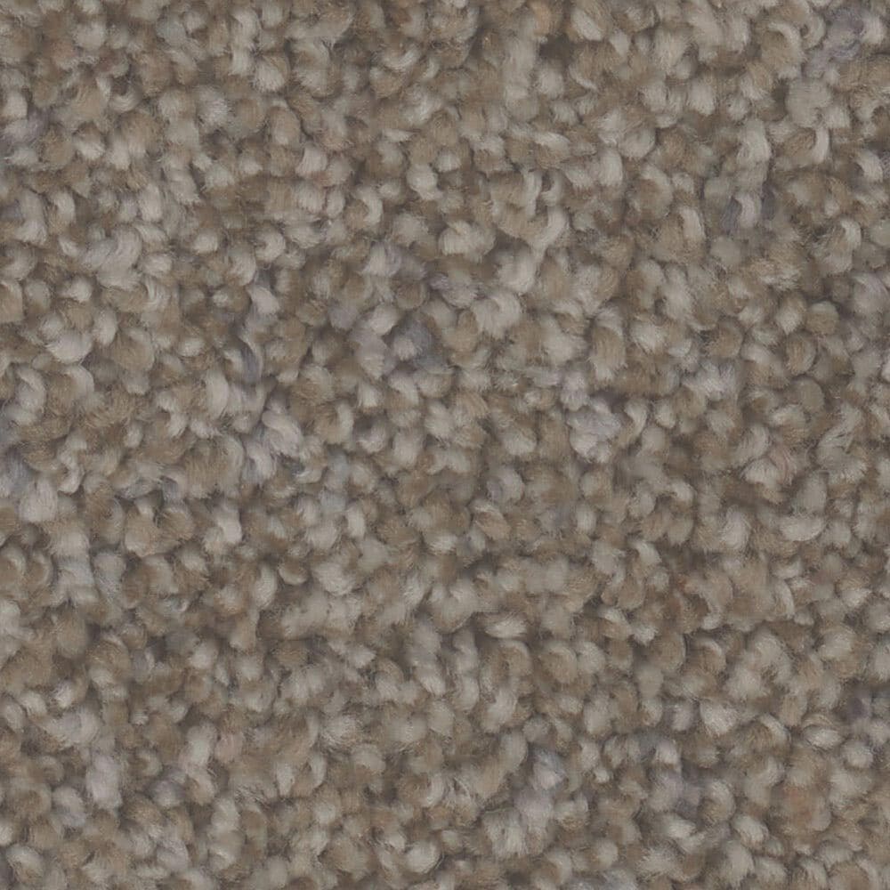 Phenix Dolce Carpet in Chocolate, , large