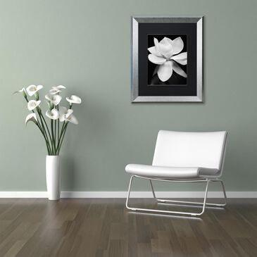 Timberlake 20" x 16" Magnolia Art in Black Matting and Silver Frame, , large