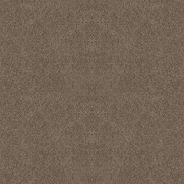 Dixie Home Winding Creek Carpet in Shadow, , large