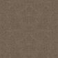 Dixie Home Winding Creek Carpet in Shadow, , large