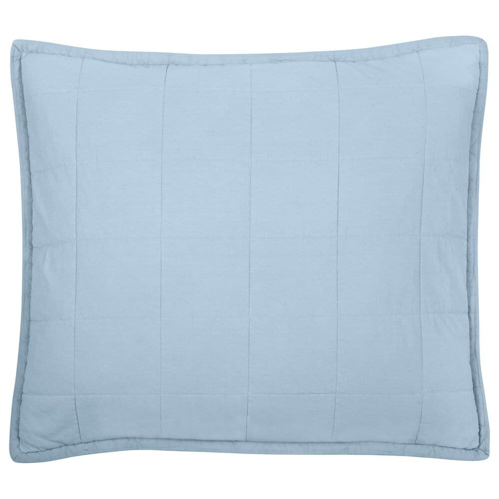 Ann Gish Cotton Canvas 30" x 36" Throw Pillow in Powder Blue, , large