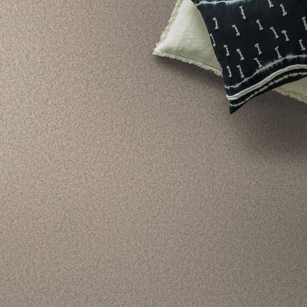 Shaw You Got This I Carpet in Natural, , large