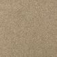 Mohawk Windsor Gardens II Carpet in Brushed Suede, , large