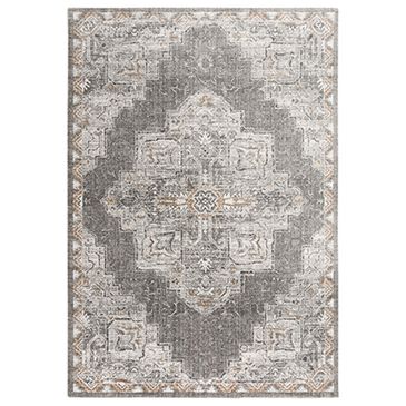 RIZZY Anatolia ANT743 8" x 10" Light Gray Area Rug, , large