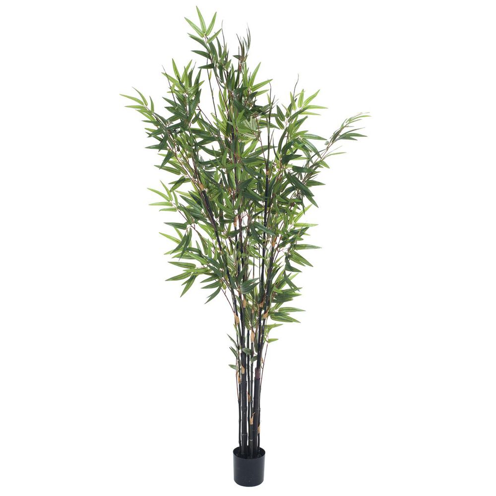 Timberlake 5" Japanese Bamboo Artificial Tree in Green, , large