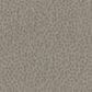 Shaw Lattice Carpet in Bronze, , large