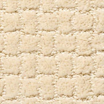 Anderson Tuftex Pawstruck Carpet in Antiquity, , large
