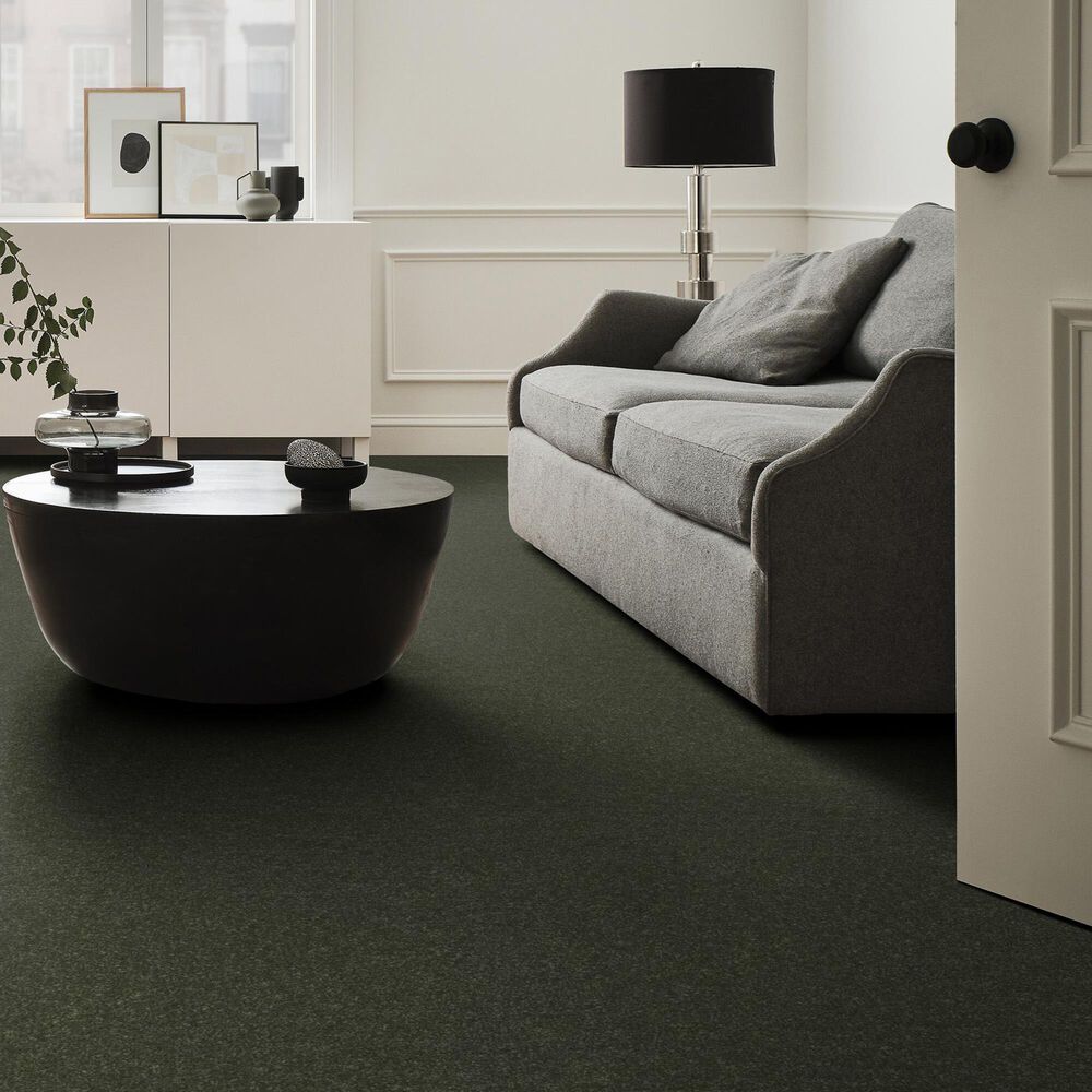 Shaw Hard At Play II Carpet in Rerooted Nature, , large