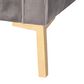 Baxton Studio Zanetta Stationary Sofa in Gray Velvet, , large
