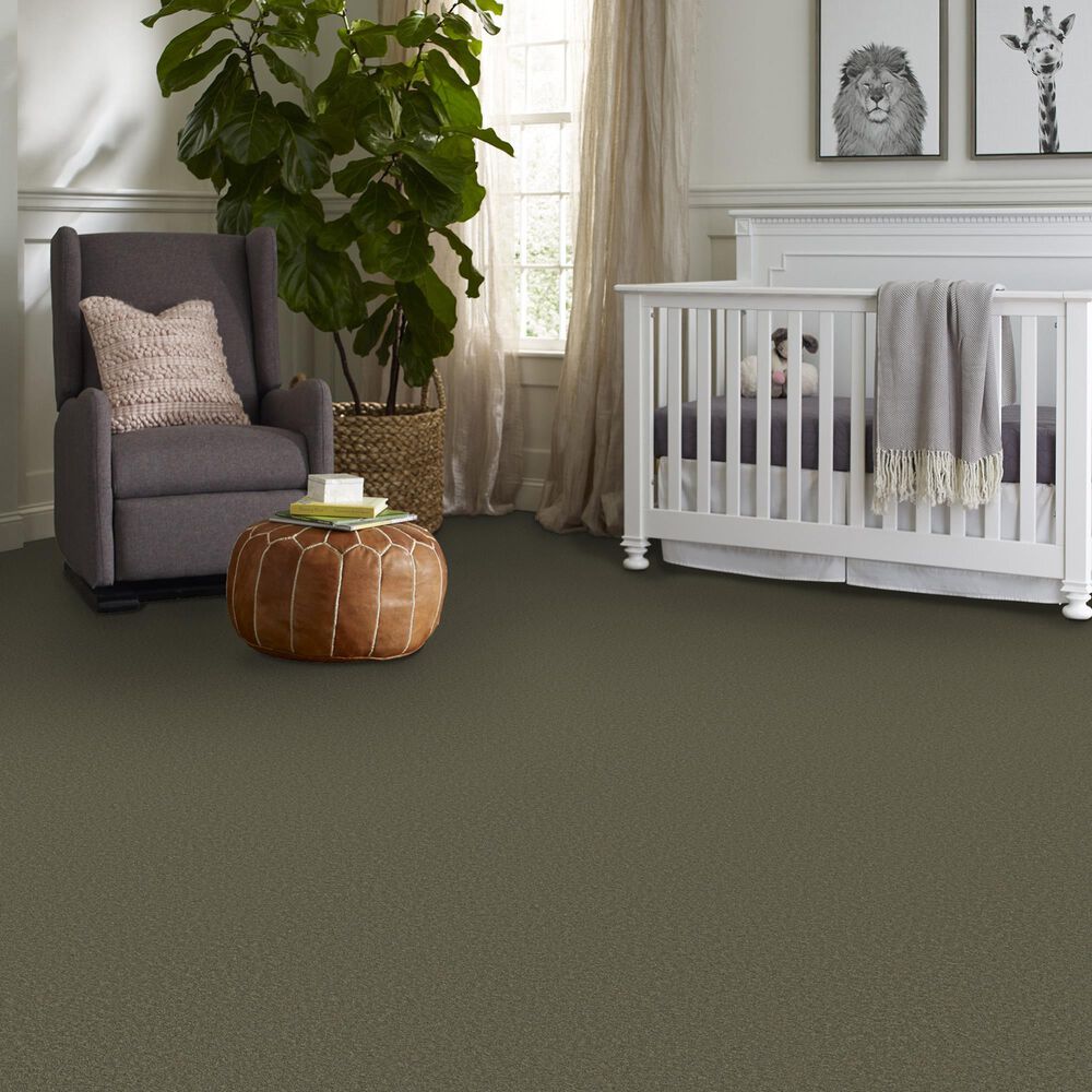 Philadelphia Champagne Taste II Carpet in Rerooted Nature, , large