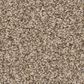 Anderson Tuftex Fabulous Carpet in Sugar Cookie, , large