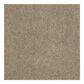 Shaw Phenomenal Carpet in Mushroom, , large