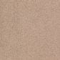 Karastan Lavish Affair Carpet in Jute, , large
