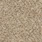 Mohawk Claws and Effect II Carpet in Bisque, , large