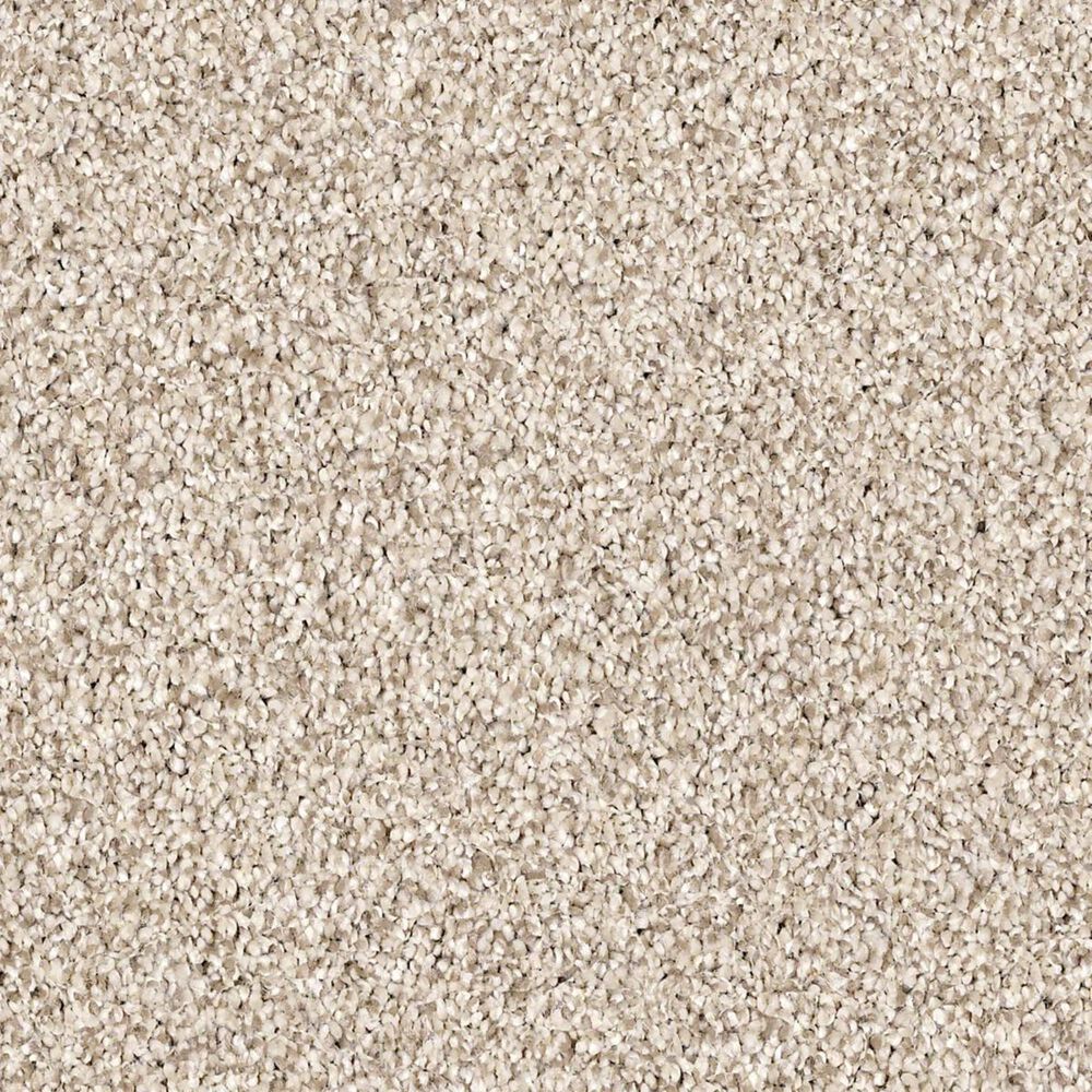 Shaw Palatial Carpet in River Rock, , large