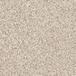 Shaw Palatial Carpet in River Rock, , large