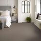 Shaw Sierra Vista Carpet in Arrowhead, , large