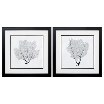 Propac Sea Fan Sketch Wall Art in Black/White (Set of 2), , large
