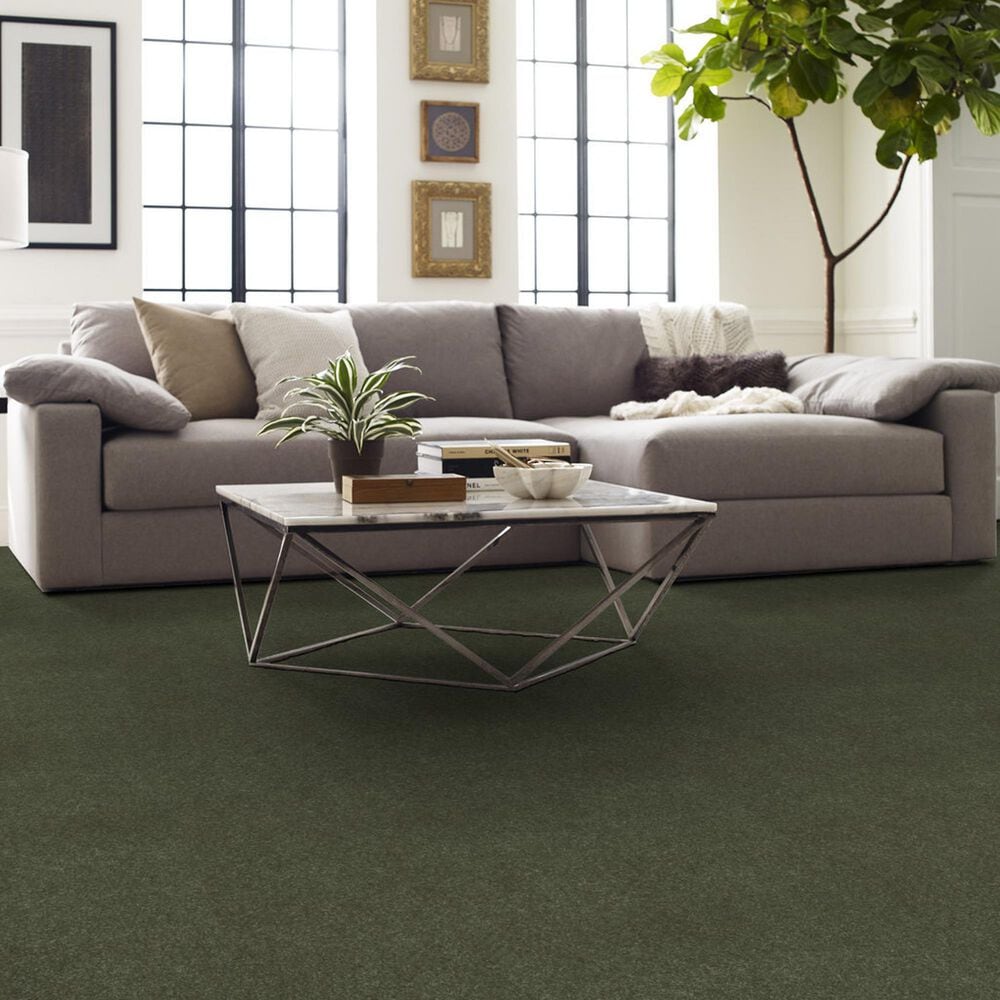 Shaw Easy Spirit III 12&#39; Carpet in Garden View, , large