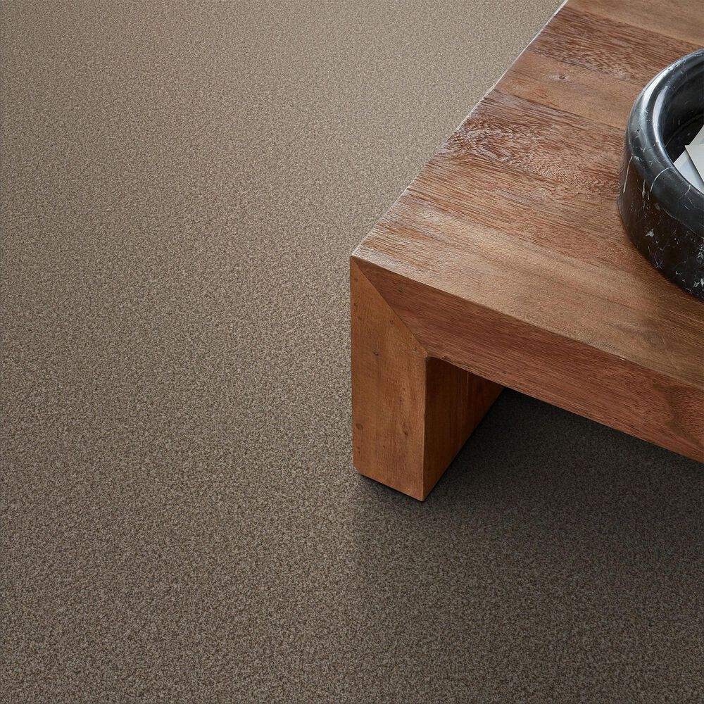 Shaw Higher Ground II Carpet in Rodeo, , large