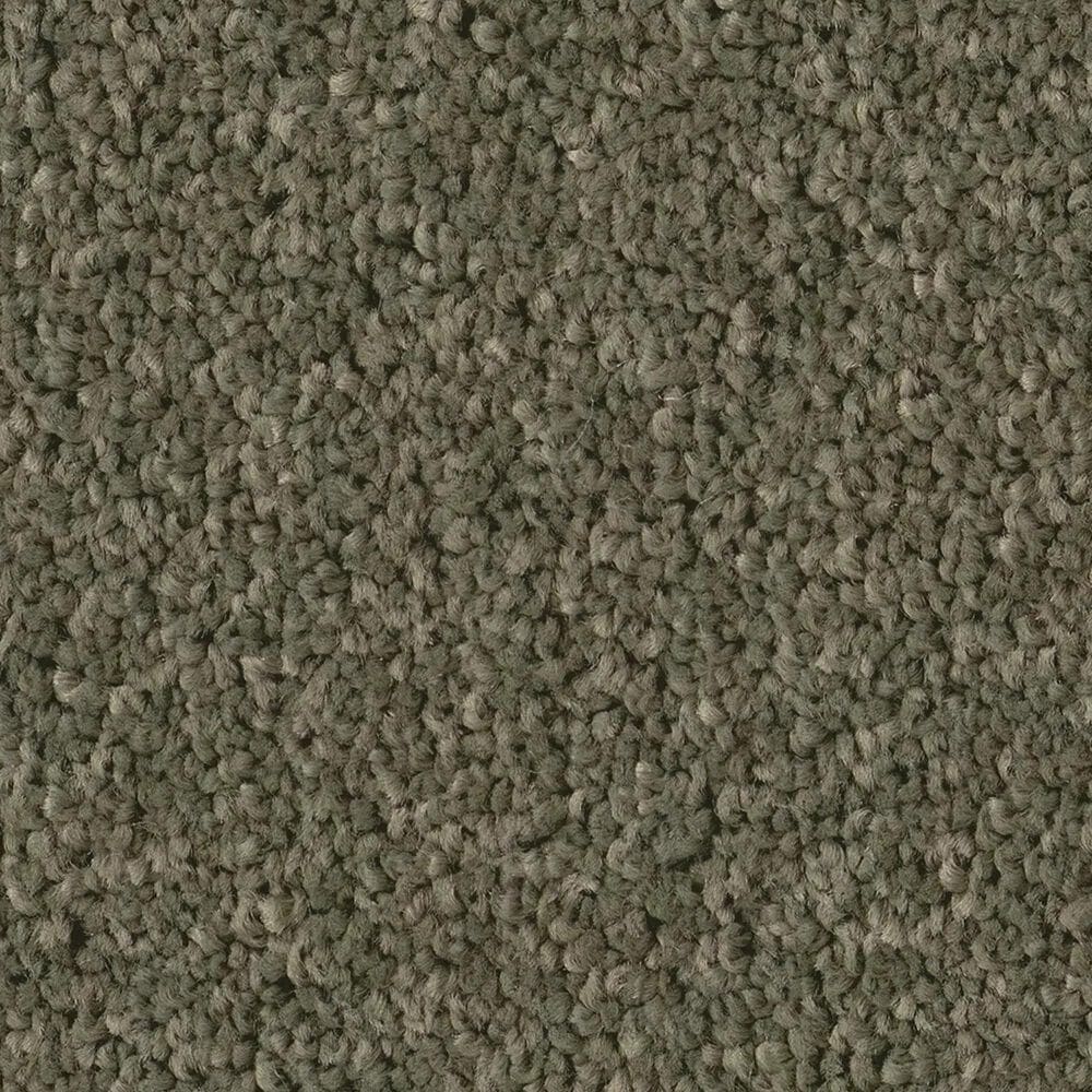 Philadelphia Champagne Taste II Carpet in Rerooted Nature, , large