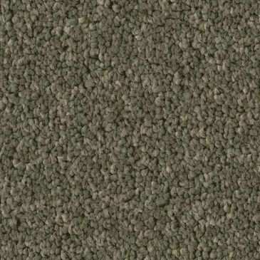 Philadelphia Champagne Taste II Carpet in Rerooted Nature, , large