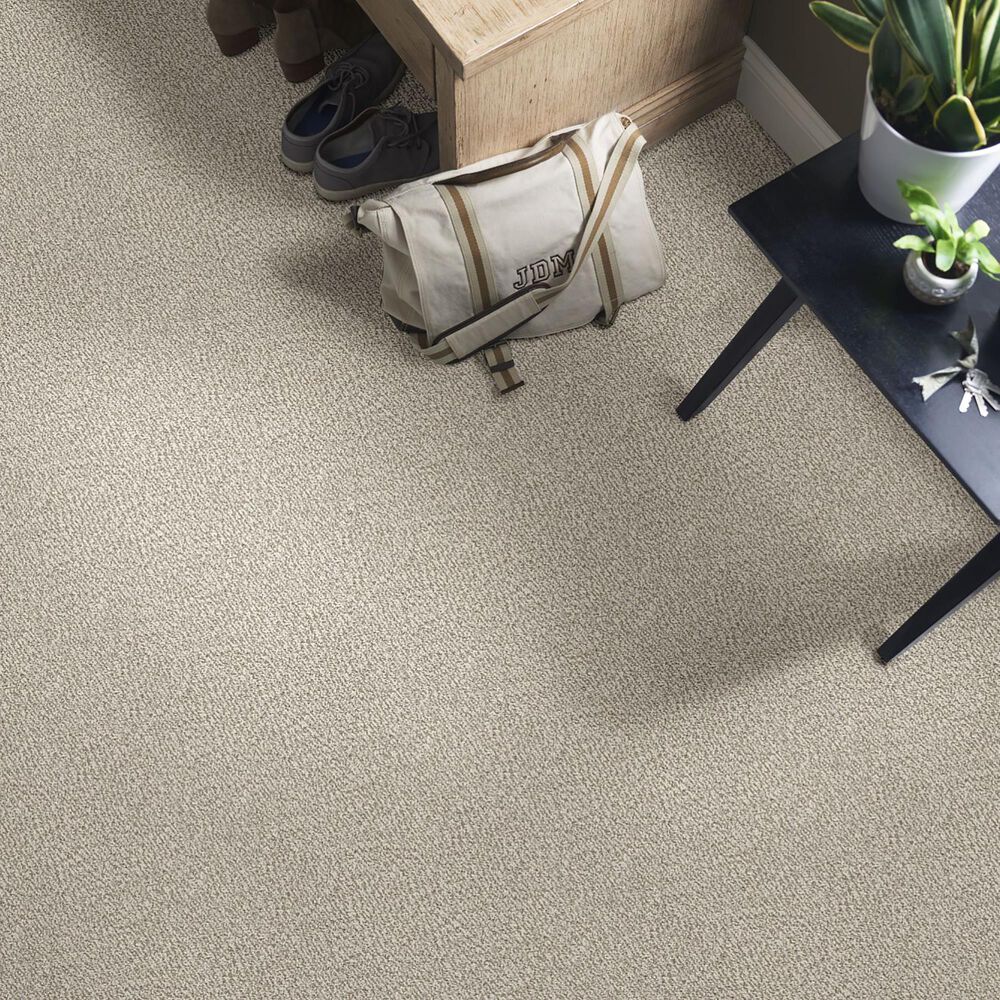 Anderson Tuftex Fur-Ever Carpet in Birch, , large