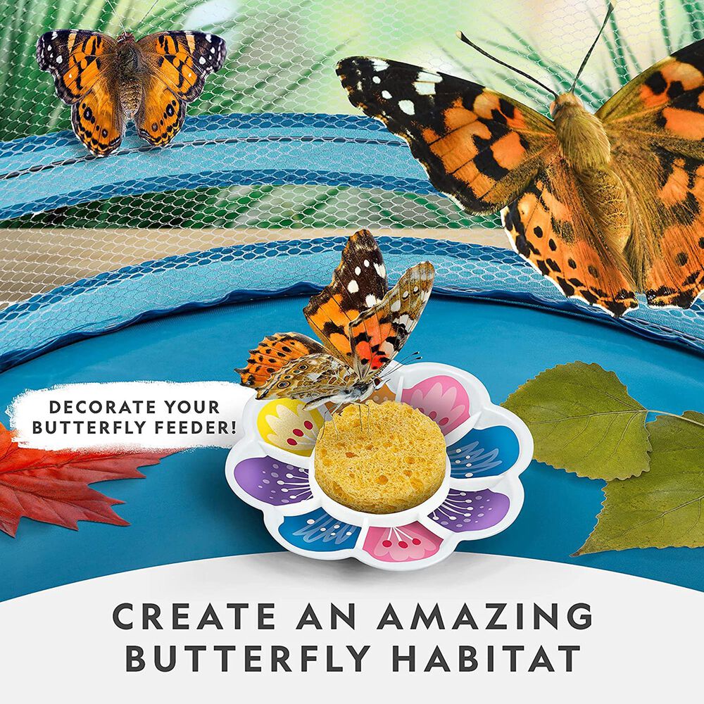 National Geographic Butterfly Growing Kit, , large