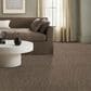 Anderson Tuftex Trace Carpet in Boardwalk, , large