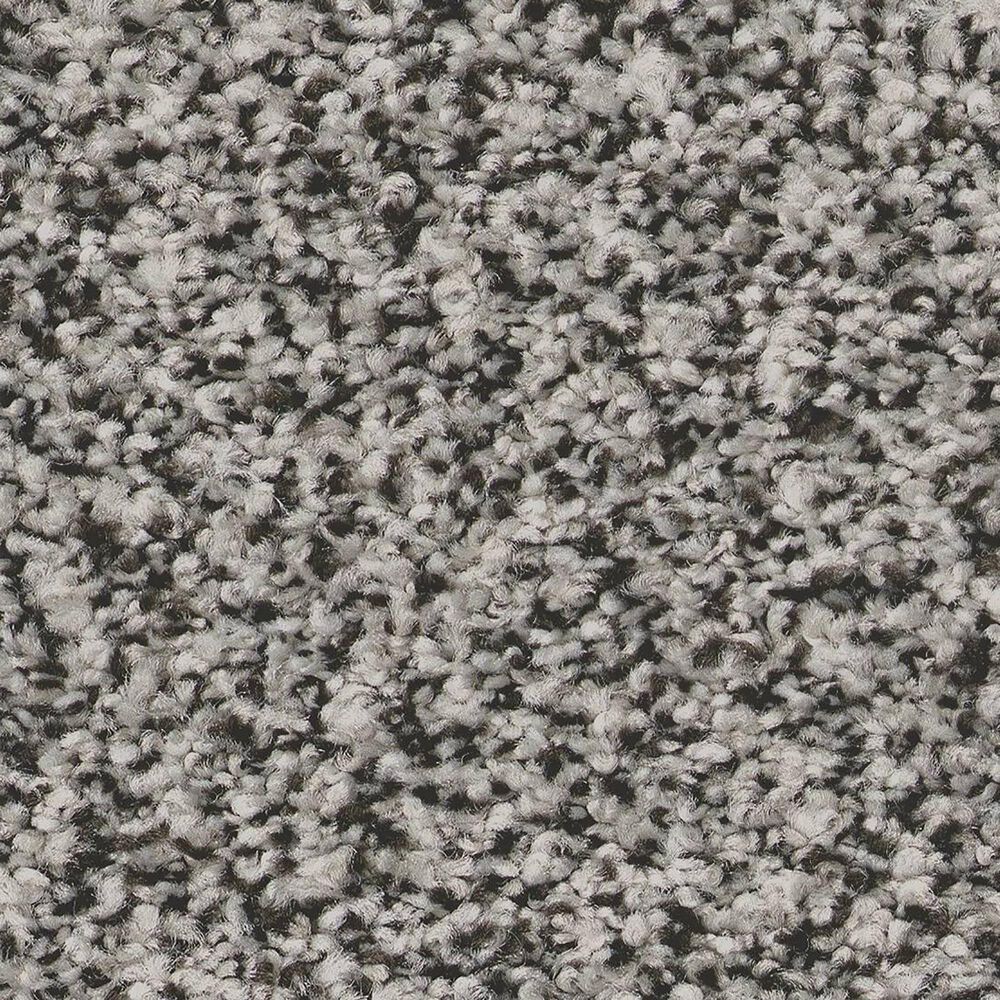 Shaw Tweed Comfort I Carpet in All Dressed Up, , large