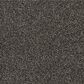 Shaw Making The Rules II 15" Carpet in Boulder, , large