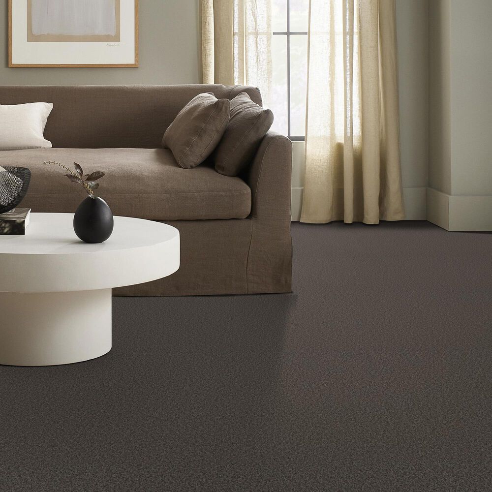 Shaw Tonal Comfort I Carpet in Weekend Getaway, , large