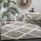 Safavieh Dallas Shag SGD257G-3 3" x 5" Grey/Ivory Area Rug, , large