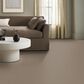 Shaw Imaginable I Carpet in Clay, , large