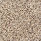 Shaw Foundations Take The Floor Accent I Carpet in Desert Sunrise, , large