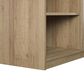DHP South Haven Fireplace TV Stand in Natural, , large
