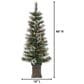 The Gerson Company 4" Potted Hard Christmas Trees in Green (Set of 2), , large