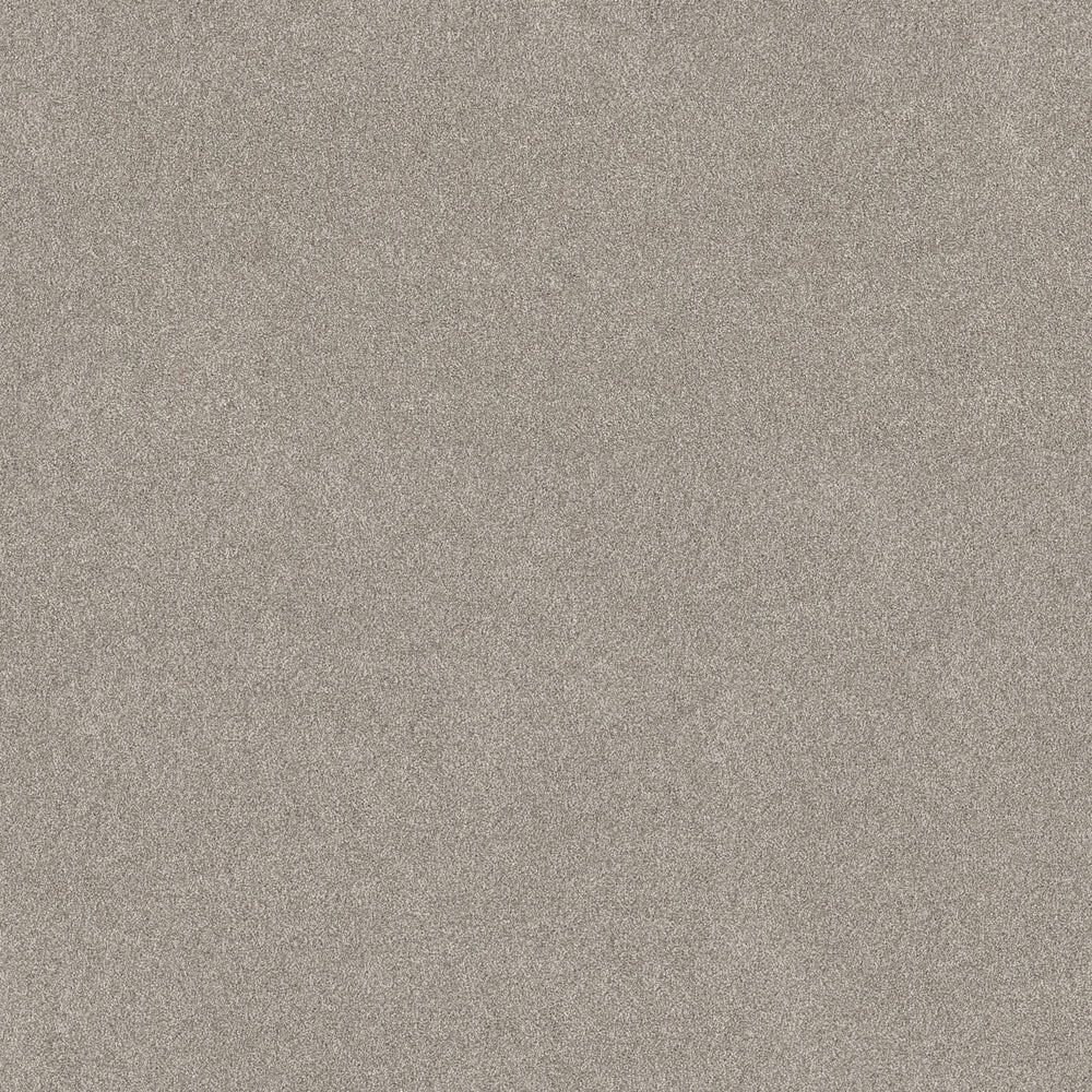 Philadelphia Delicate Feel II Carpet in Marble, , large