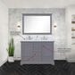 Lexora Home Dukes 48" Double Bathroom Vanity in Dark Grey with 2 cm White Quartz Top and Rectangular Sinks, , large
