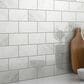 Emser Contessa Dama 3" x 6" Polished Porcelain Tile, , large