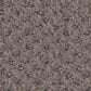 Shaw Austin Park Carpet in Rustic Vibe, , large