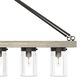 Hunter Devon Park 5-Light Linear Chandelier in Onyx Bengal and Barnwood, , large
