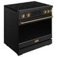 Thor Kitchen Gordon Ramsay 6 Cu. Ft. Professional Induction Range with Bronze Handle Kit in Black, , large