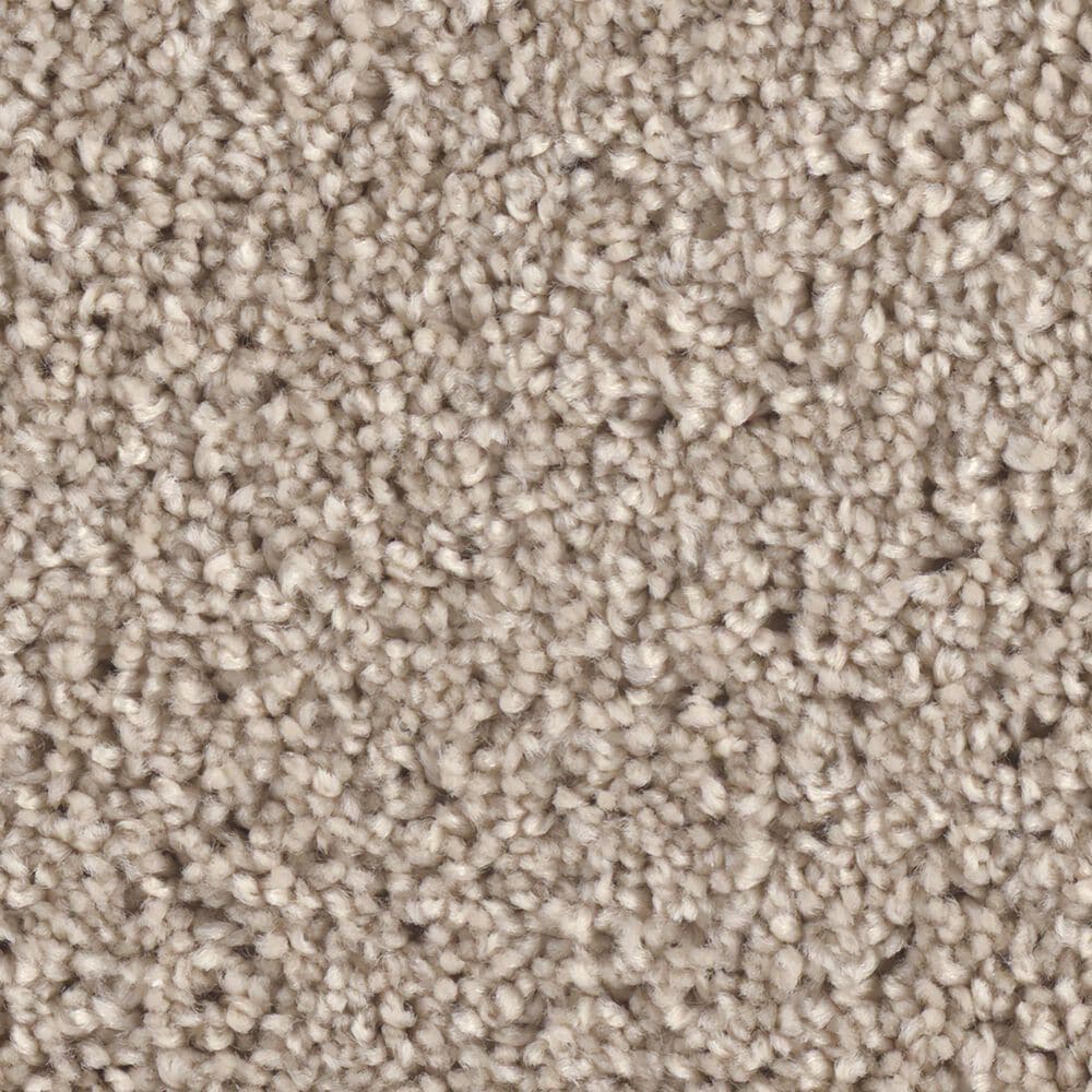 Phenix Ebullient Carpet in Attracted, , large