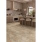 Mannington Adura Apex Luxxe Caviar 12" x 24" Luxury Vinyl Plank, , large