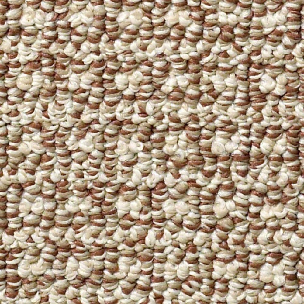Anderson Tuftex Fetch Carpet in Russet, , large