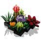 LEGO Botanicals Collection Succulents, , large