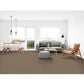 Dixie Home Affinity Carpet in Maple, , large